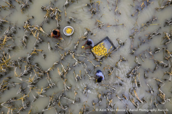 آب سیل به محصولات آسیب رسانده است توسط عظیم خان رونی  | جوایز عکاسی هوایی 2020
